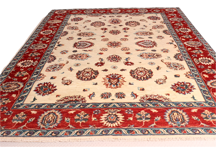 Afghan Fine Hand Knotted Ziegler Rug - 245x175cm